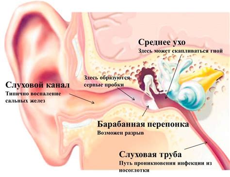 Причины внутренней боли в ухе